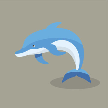 vector flat dolphin fish