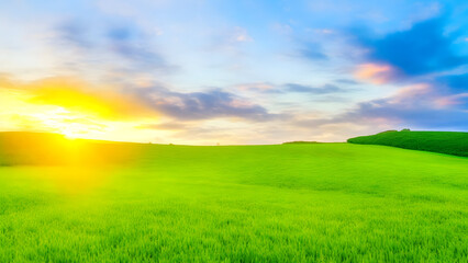 Fototapeta na wymiar Sunset over green field landscape. Beautiful natural agricultural in the summertime 6.