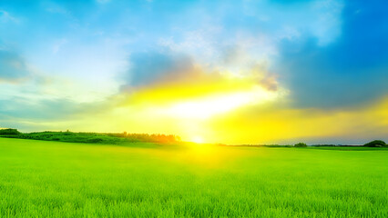 Fototapeta na wymiar Sunset over green field landscape. Beautiful natural agricultural in the summertime 2.