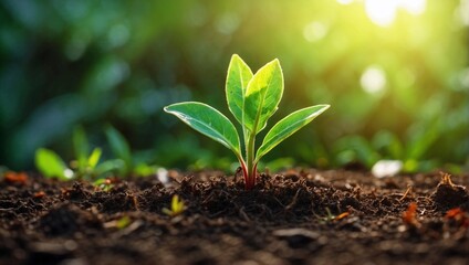 a photo of a newly grown young plant with green leaves in the morning made by AI generative