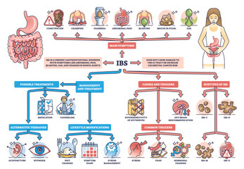 IBS or irritable bower syndrome causes and condition symptoms outline diagram, transparent background. Labeled educational scheme with digestive system chronic problems illustration.