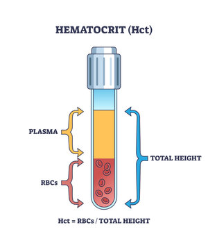 Hematocrit or HCT as red blood cells count in sample test outline diagram, transparent background. Labeled educational scheme with plasma, total height and RBC components percentage illustration.