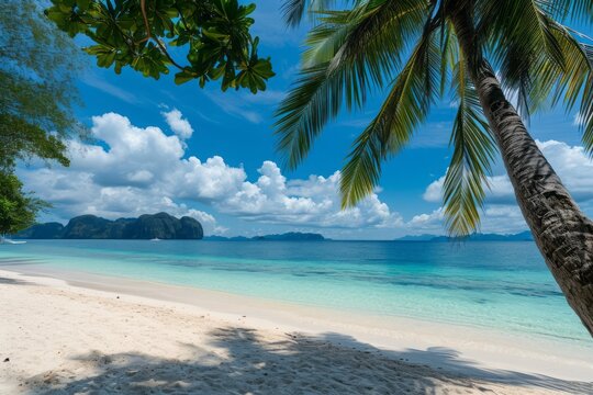 Palawan Island's beach