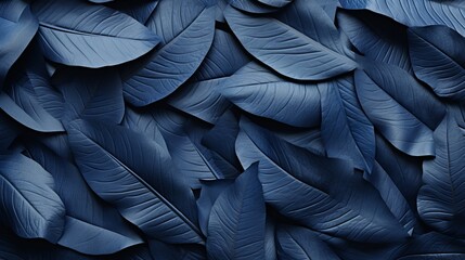 Abstract dark blue tropical leaf texture background with copy spacedark nature concept.