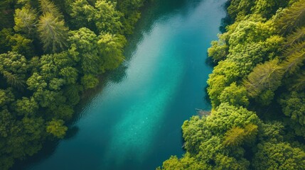 Naklejka na ściany i meble an aerial view of a river in the middle of a forest with a blue river running through the middle of the forest, surrounded by lush green trees and blue water.