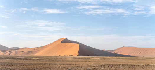 Fototapeta na wymiar big dune 40 in Naukluft desert, near Sossusvlei, Namibia