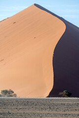 Fototapeta na wymiar climbers on curvy edge of big dune 45 in Naukluft desert, near Sossusvlei, Namibia