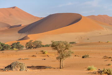 Fototapeta na wymiar round edge of big red dune, Naukluft desert near Sossusvlei, Namibia