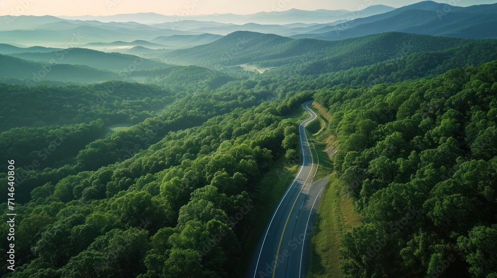 Poster an aerial view of a road in the middle of a mountain range with trees on both sides of the road and 