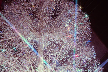 箱根のイルミネーション