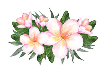 Fototapeta na wymiar Composition of plumeria flowers. Frangipani and palm leaves isolated on white background. Watercolor botanical illustration for cosmetics and perfume packaging design