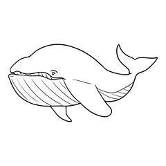 cute humpback whale illustration outline vector