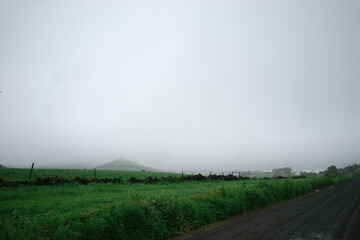 green hills and pastures of the Azores in the fog