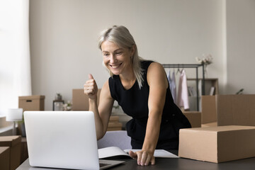 Businesswoman, individual entrepreneur use laptop, read e-mail, standing in warehouse office room...