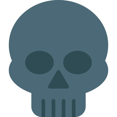 Skull Icon