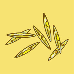 Nitzschia is a genus of single-celled algae called diatoms. They are found in both marine and freshwater environments and are incredibly common