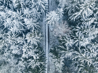 Aerial view of snowy road and in winter forest, Poland.
