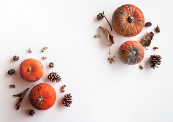 Pumpkins, pine cones, dry leaves and acorns in top view on white background