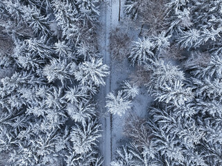 Aerial view of frozen forest and snowy path in Poland.