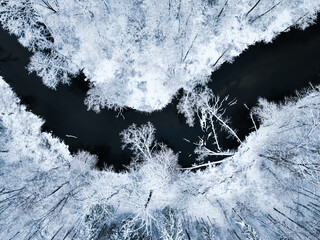 Top down view of Brda river and forest in winter. - obrazy, fototapety, plakaty