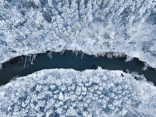 Top down view of Brda river and snowy forest. - obrazy, fototapety, plakaty