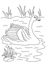 Swan Line art colouring children's book.