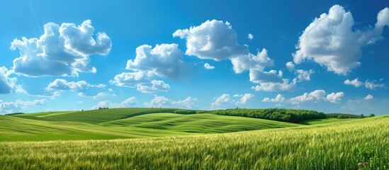 Scenic scene with green fields and blue skies, few clouds