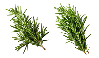 rosemary png. rosemary leaf png. Salvia rosmarinus png. rosemary top view png. rosemary flat lay png. aromatic herb of rosemary png - obrazy, fototapety, plakaty