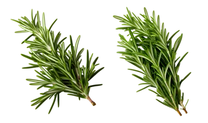 Foto op Plexiglas rosemary png. rosemary leaf png. Salvia rosmarinus png. rosemary top view png. rosemary flat lay png. aromatic herb of rosemary png © Divid