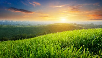 Fototapeta na wymiar green grass with sunset views