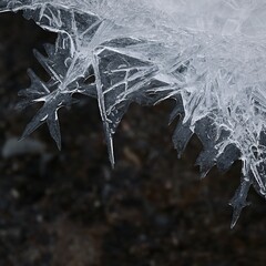 Frozen pool of water in winter. Ice nature - macro shot of frozen water.