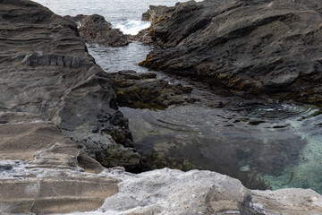 城ヶ島の地層があらわれている海岸　神奈川県三浦市