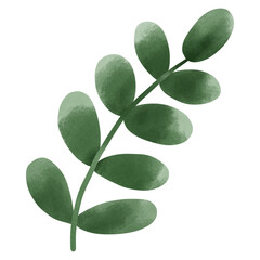 Easter green leaves isolated on white background