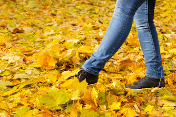 man kicking yellow leaves in autumn park.