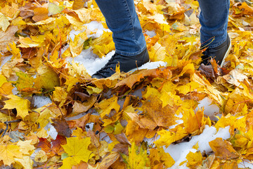 a man walks through the first snow strewn with yellow leaves.