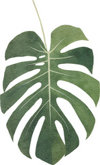 Tropical leaf created with Generative AI technology