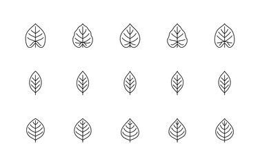 Leaf linear icons vector set. Nature symbols. Philodendron acutifolium, cherry, apple. Leaf linear icons on white background.
