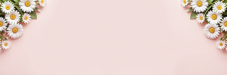 White daisies, spring flowers on pink background. Panoramic background banner Mother's Day, Women's Day, Valentine's Day. Copy space, top down. Generative AI.