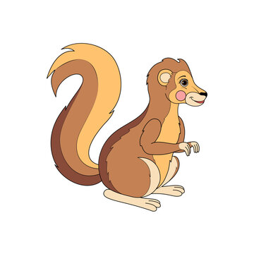 Cute xerus cartoon.  African Ground Squirrel Illustration. Vector illustration.