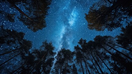 Beautiful night sky, the Milky Way and the trees. Elements of this image furnished by NASA.
