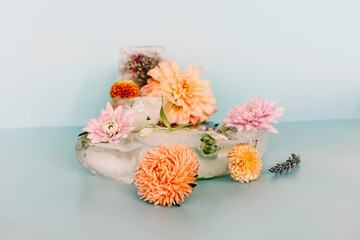 Flowers around shaped ice on blue background