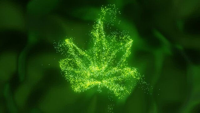 Green light particles combined to form an object in the shape of a cannabis leaf, which then gathered for a moment before disappearing into the dark green background