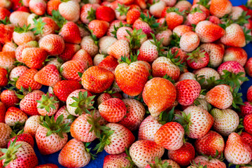 strawberries on a market