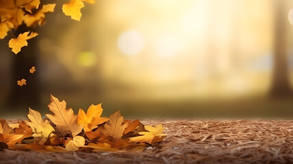 Naklejka na ściany i meble Autumn frame with yellow leaves, blurred background