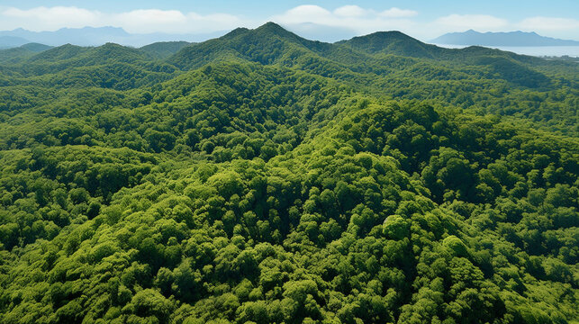 green forest in the mountains high definition photographic creative image