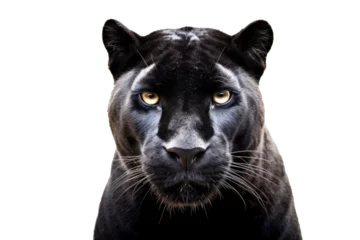 Türaufkleber A black panther isolated on a transparent background. © tong2530