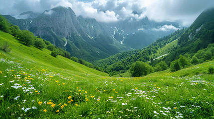 Fototapeta premium beautiful breathtaking landscape photography with serene nature view for 16:9 widescreen wallpapers