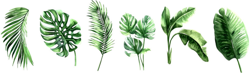 Fototapeta na wymiar Set of vibrant green tropical leaves, watercolor illustrated