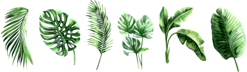 Poster Monstera Set of vibrant green tropical leaves, watercolor illustrated