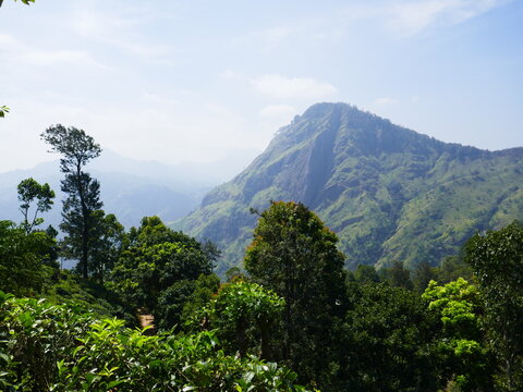 Paysages de Ella, Sri Lanka